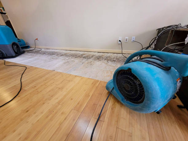 Professional Sewage Cleanup technician working in Eliot, ME